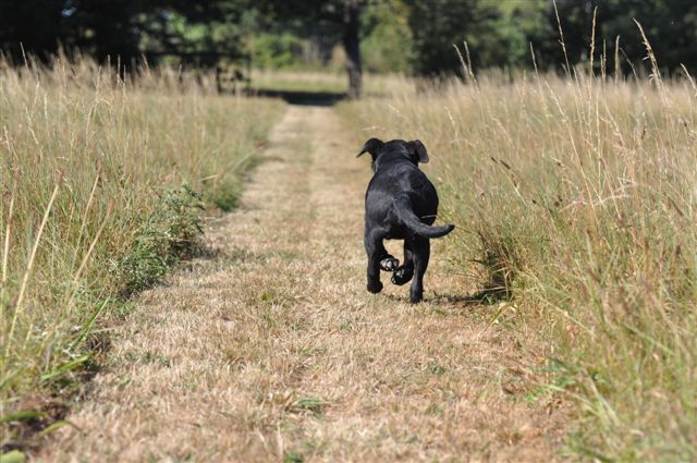 Publication : du Domaine de la Vallée de l'Andelle Auteur : RH.