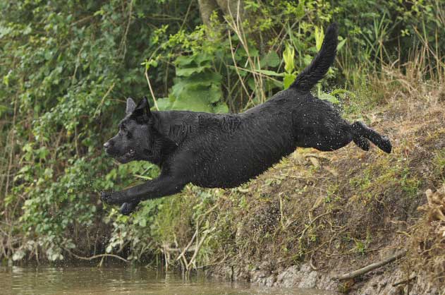 Publication : du Domaine de la Vallée de l'Andelle Auteur : C. Nanglard