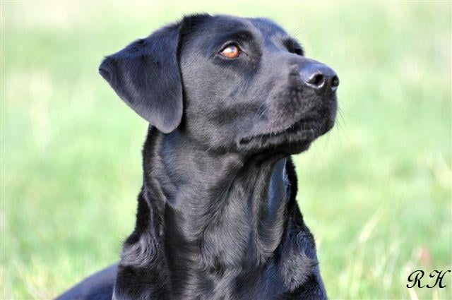 Publication : du Domaine de la Vallée de l'Andelle Auteur : RH