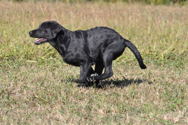 Publication : du Domaine de la Vallée de l'Andelle Auteur : RH.