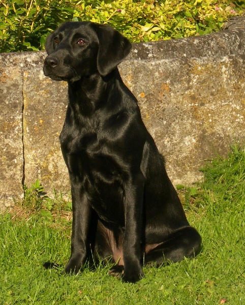 Publication : du Domaine de la Vallée de l'Andelle Auteur : RH