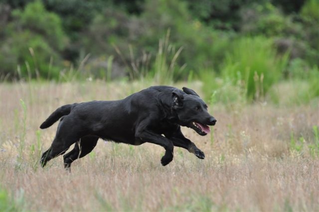 Publication : du Domaine de la Vallée de l'Andelle Auteur : RH
