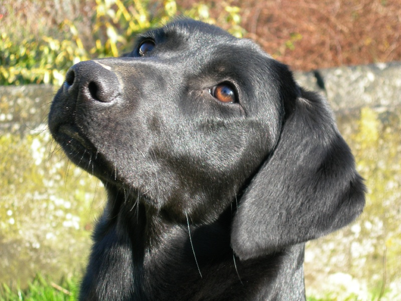 Publication : du Domaine de la Vallée de l'Andelle Auteur : RH