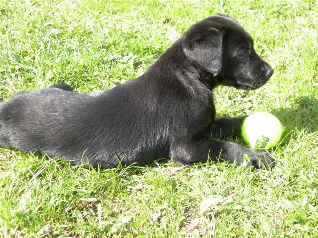 Publication : du Domaine de la Vallée de l'Andelle Auteur : RH