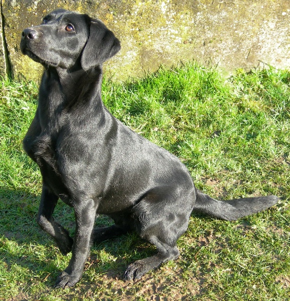 Publication : du Domaine de la Vallée de l'Andelle Auteur : RH