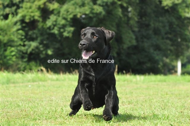 Publication : du Domaine de la Vallée de l'Andelle Auteur : RH.