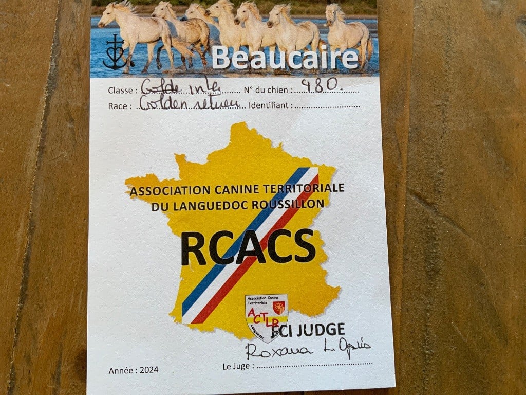Top secret édition angel s Angels of Tara - 1er excellent classe inter avec obtention RCACS