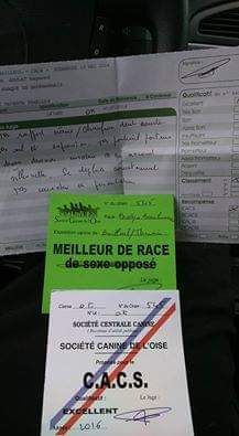 De La Lande De Bourberouge Jopie - 1er excellent/meilleur de race/Cacs