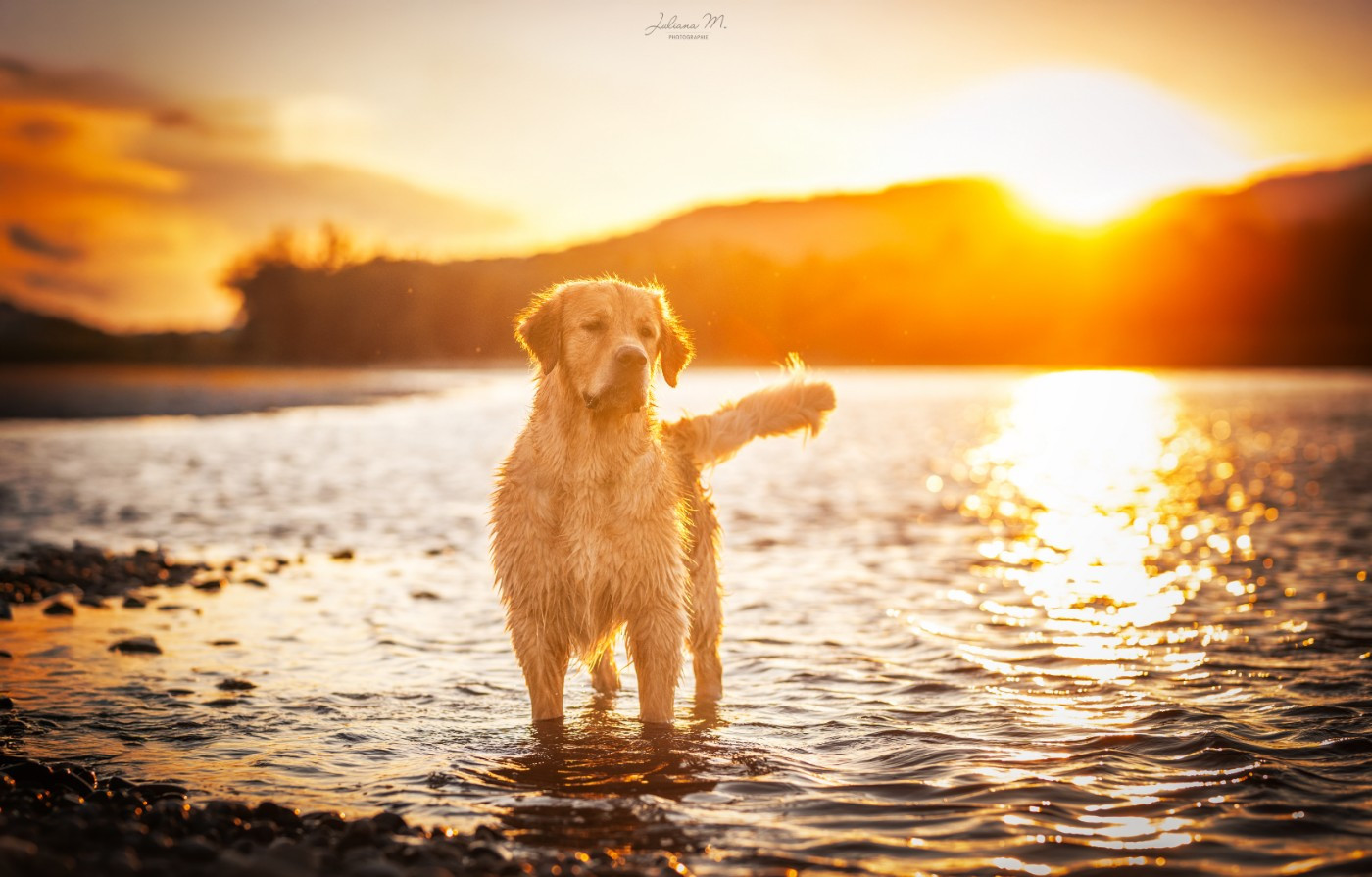 Shine Your Way Up to the mangaiti's sun