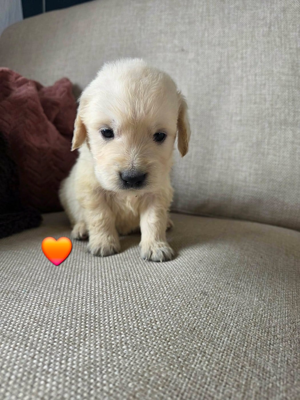 orange