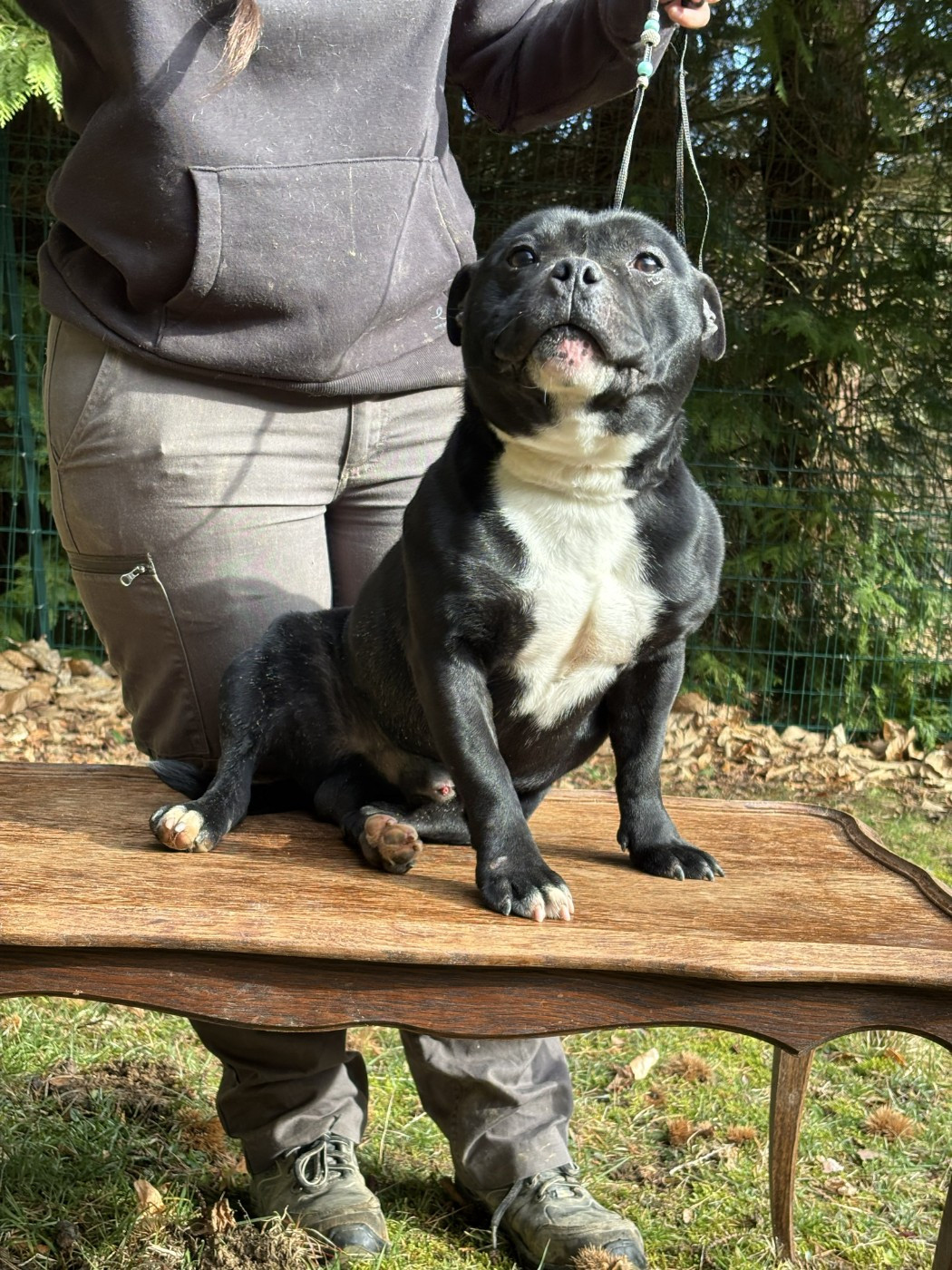 Publication : du Pirasset