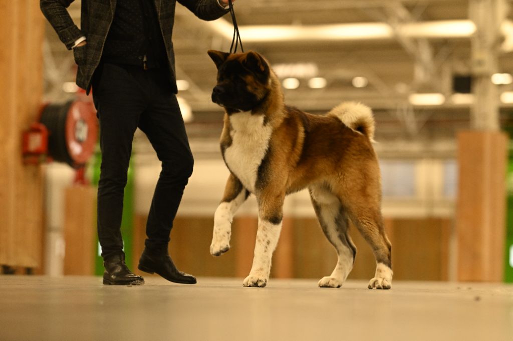 Special Approach Uppercut dgdlarchedenoé