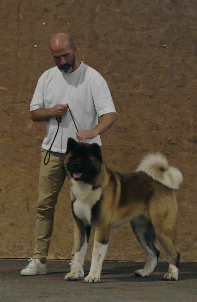 Special Approach Uppercut dgdlarchedenoé