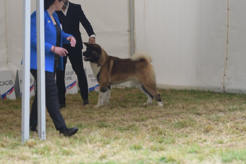 Special Approach Uppercut dgdlarchedenoé