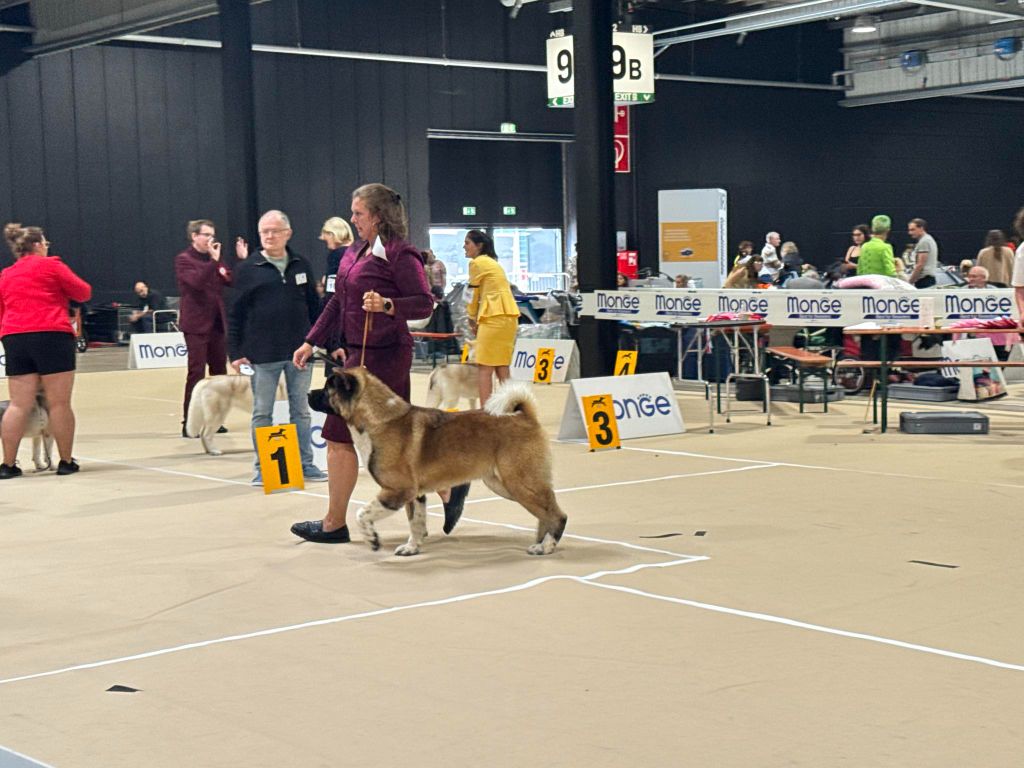 Special Approach Uppercut dgdlarchedenoé