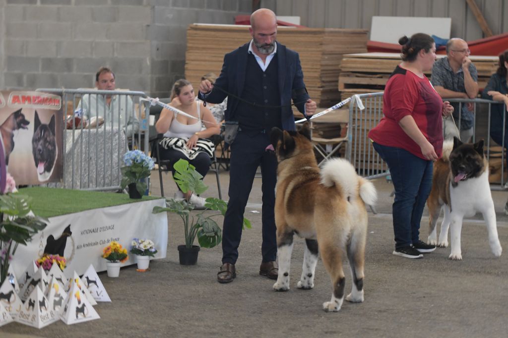 Special Approach Uppercut dgdlarchedenoé