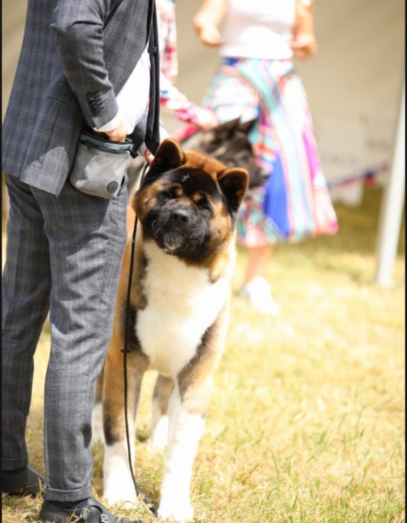 Special Approach Uppercut dgdlarchedenoé