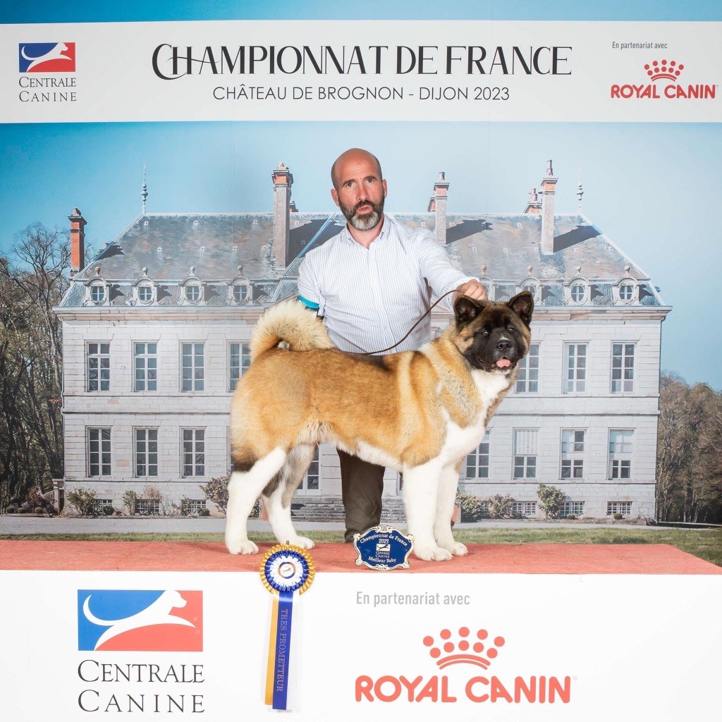 Special Approach Tyson fury - Meilleur Baby et Baby Latin Winner