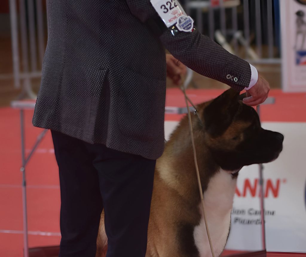 Special Approach Tyson fury - 1er Classe Intermédiaire Male - CACSCC - RCACIB