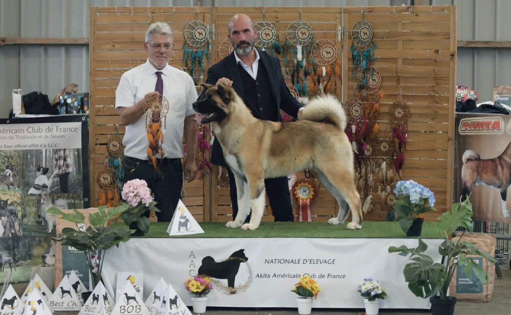 Valkyrie aka maizikeen Des Gardiens De L'arche De Noé - 2ième -Excellent (classe jeune)