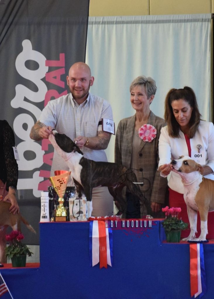 Ultime clyde hoodlum - 1st vp