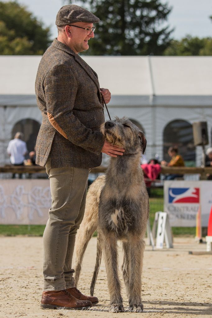 Vega lyrae An Telenn Du - Excellent (Classe Intermédiaire)