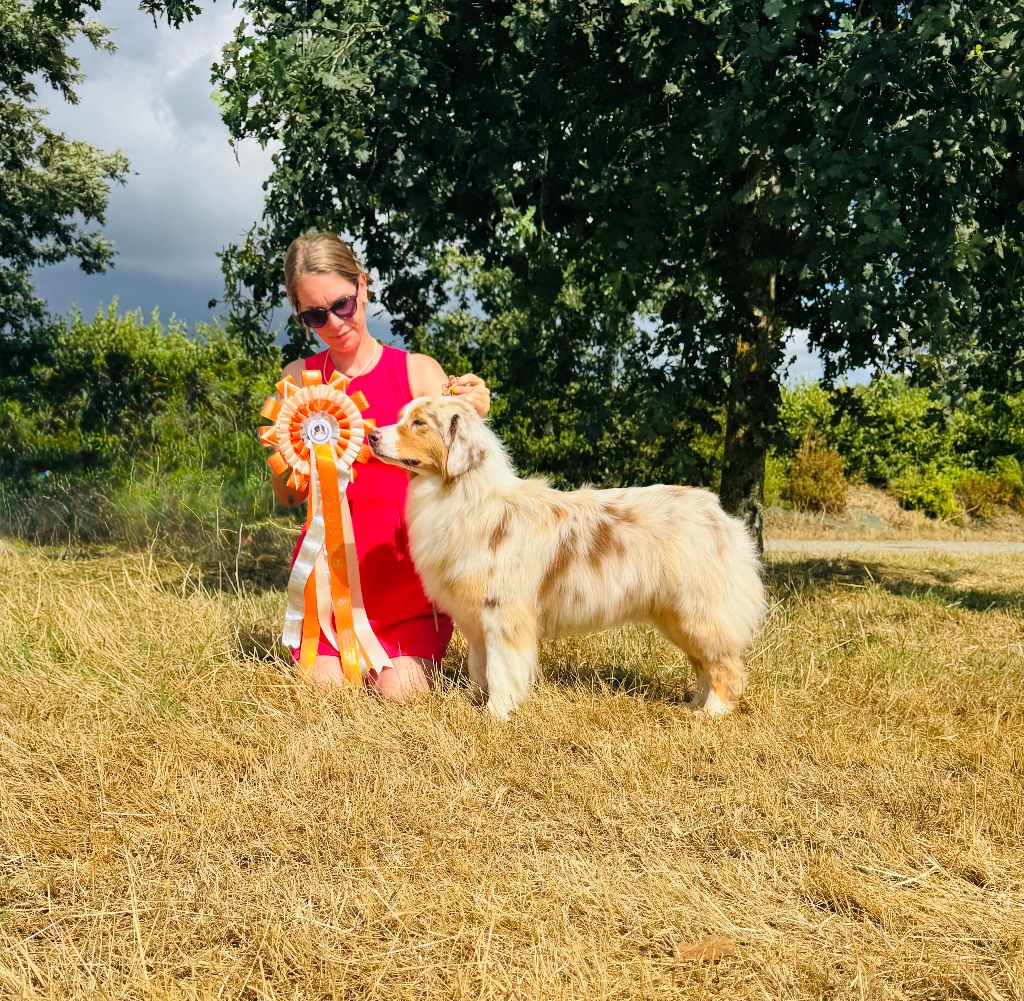 Upendi tlk nala Des Rochers D'Opale