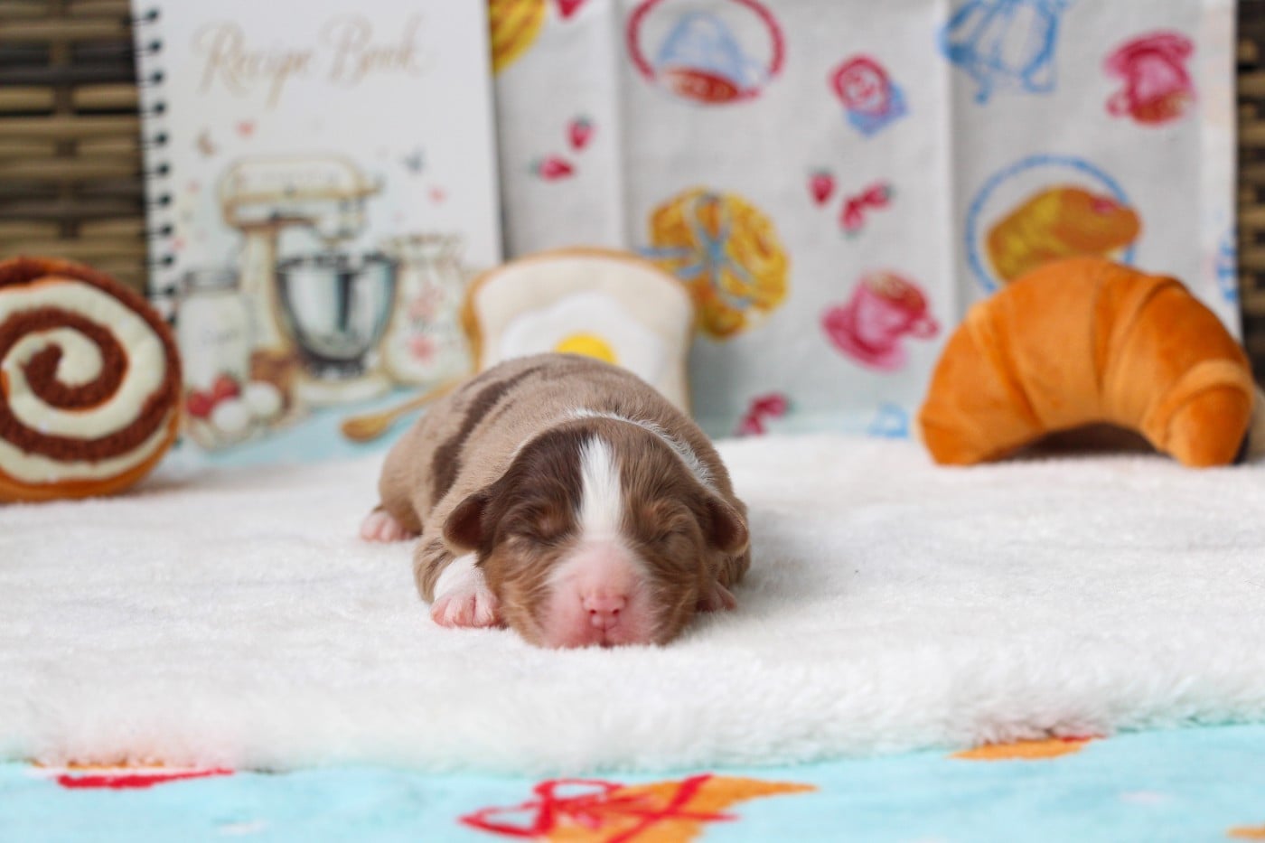 Brioche Cinnamon Rolls  Of Swinnie's Dream