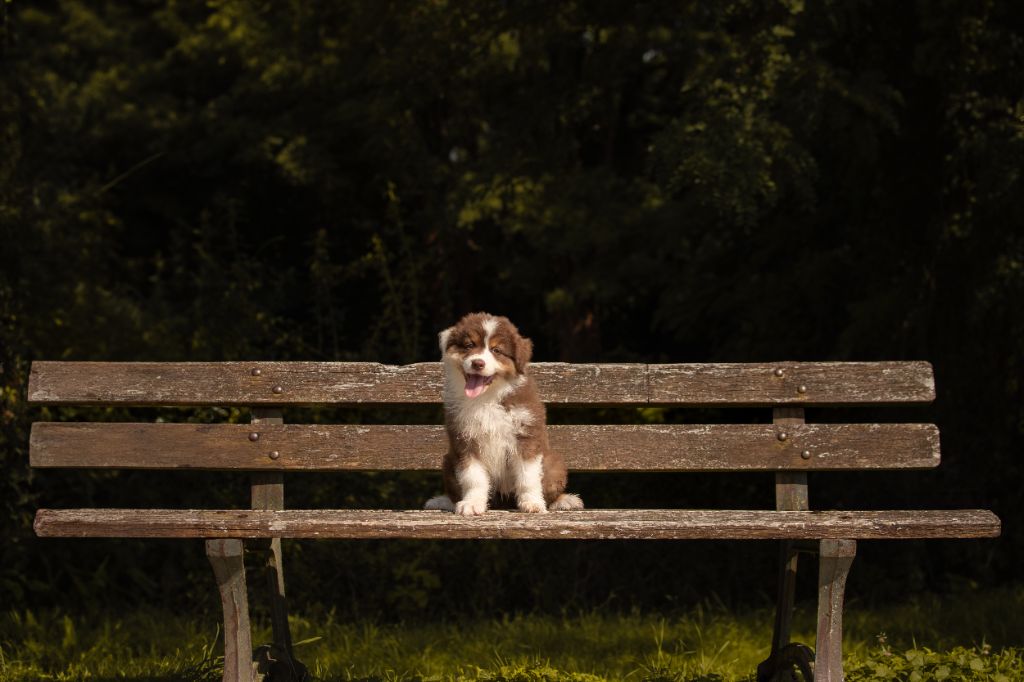 A Red Crystal Mookaite