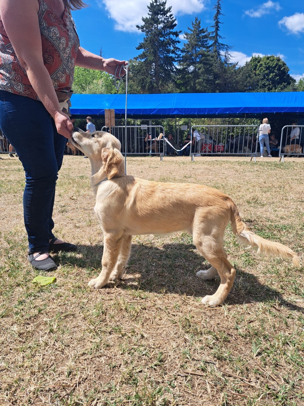 Aimée joli rêve L'Héritage Des Champs