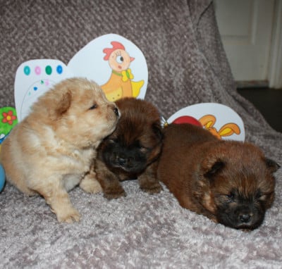 De La Rivière Au Soleil