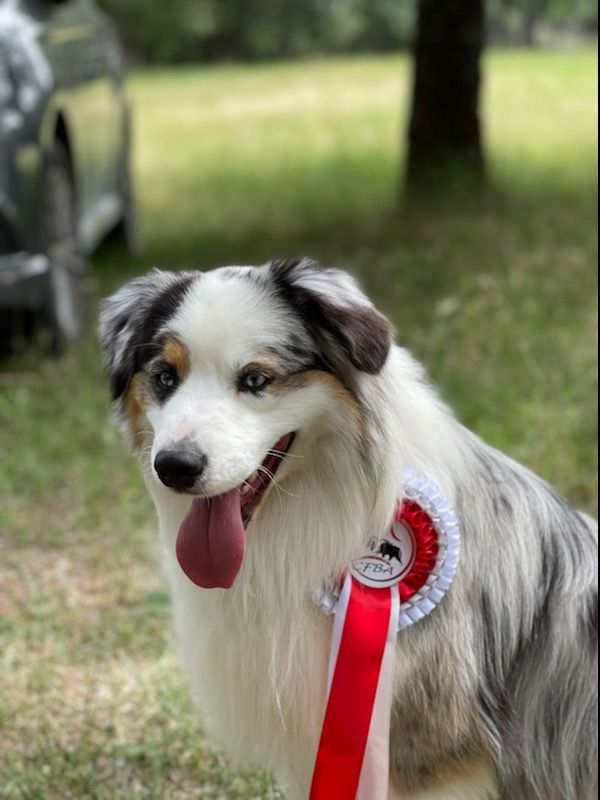 Publication : Of surf paradise