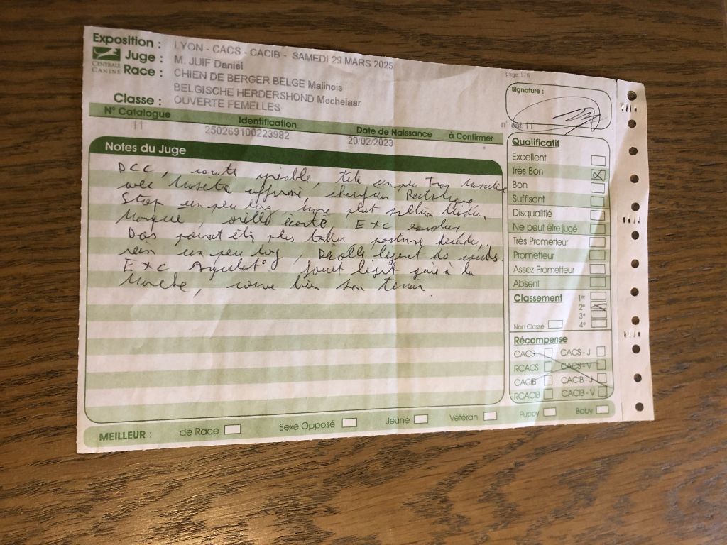 Ultime du Camp de la Roque - 2éme Très Bon