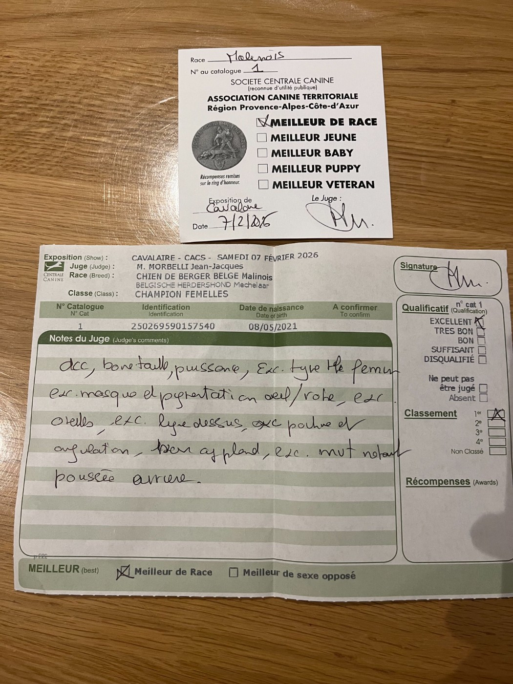 CH. Sr spirit of saint louis-sakuna De La Bergerie Des Bons Soins - 1ère Excellent Classe Champion Meilleur de Race