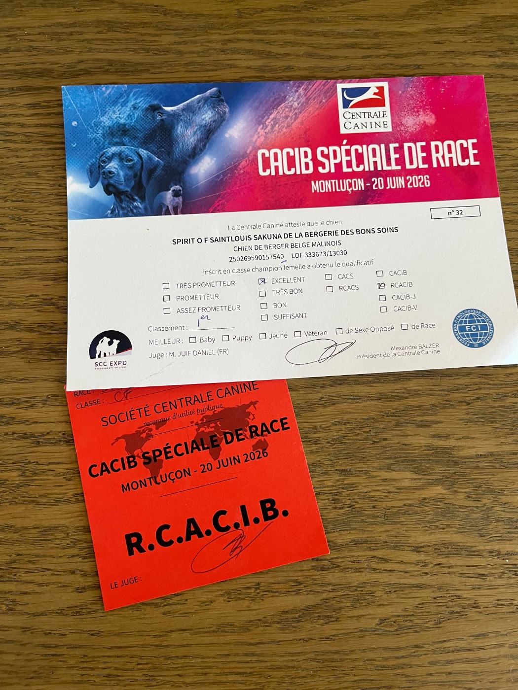 CH. Sr spirit of saint louis-sakuna De La Bergerie Des Bons Soins - 1ère Excellent Classe Champion Réserve CACIB