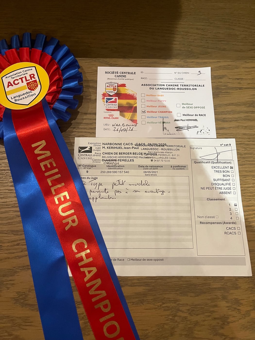 CH. Sr spirit of saint louis-sakuna De La Bergerie Des Bons Soins - 1ère Excellent Classe Champion Meilleure Championne