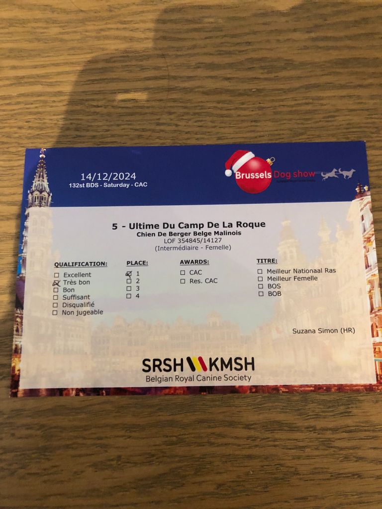 Ultime du Camp de la Roque - 1ére Très Bon Classe Intermédiaire