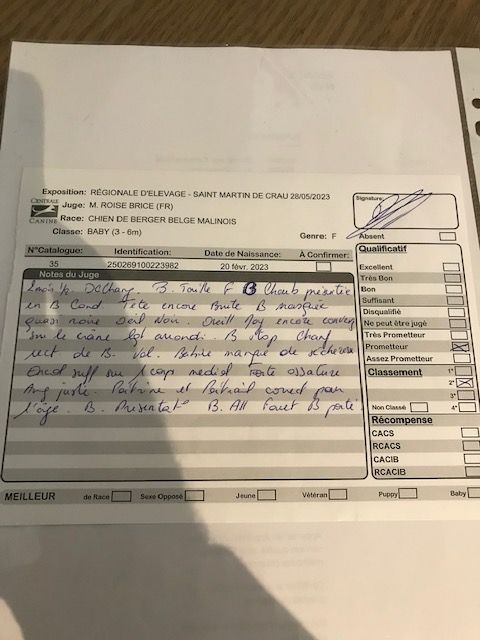 Ultime du Camp de la Roque - Prometteur