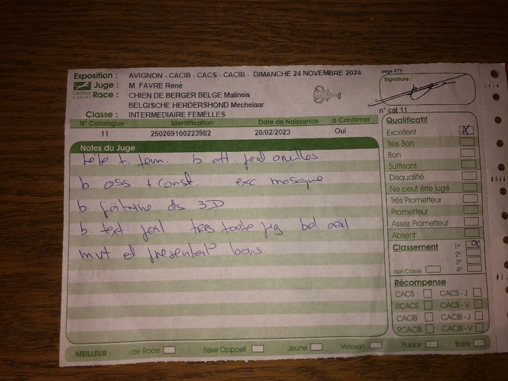 Ultime du Camp de la Roque - 1er Excellent classe Intermédiaire