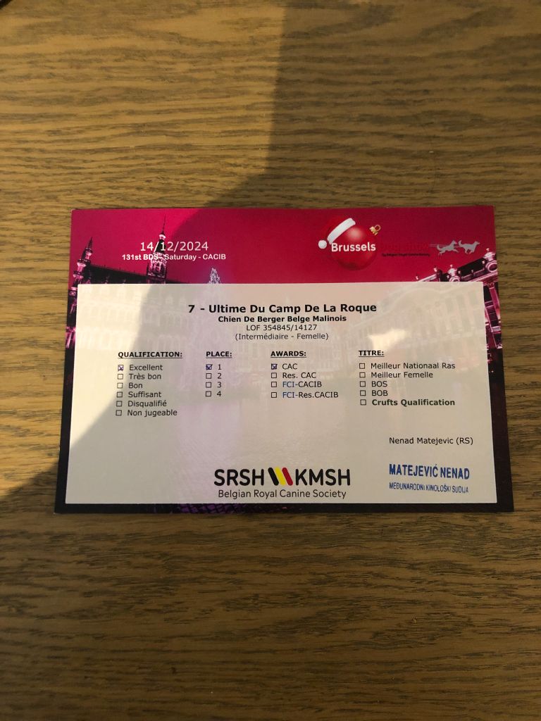 Ultime du Camp de la Roque - CAC 1ére Excellent Classe Intermédiaire