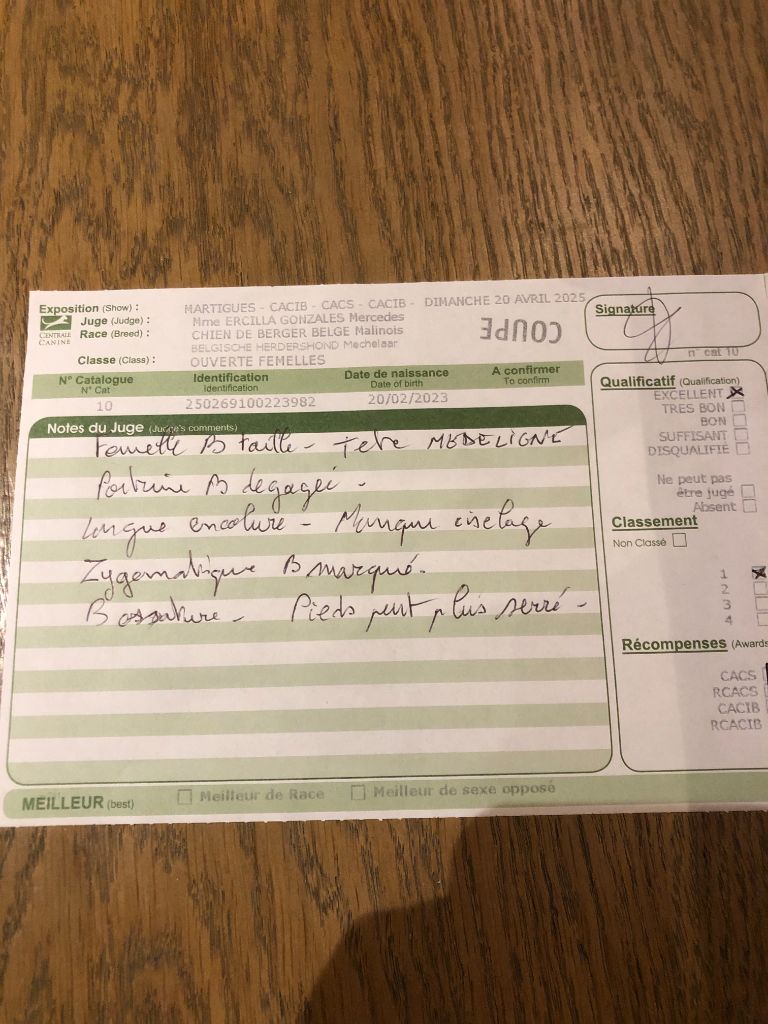 Ultime du Camp de la Roque - 1er Excellent Classe Ouverte