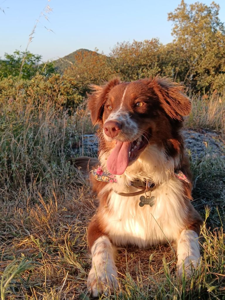 Vodka De La Bélaurendière
