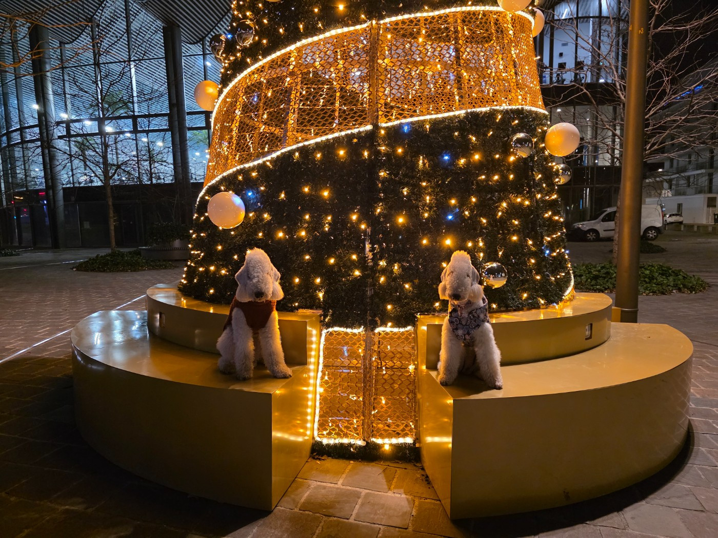 Someone like you Un Après-midi De Chien