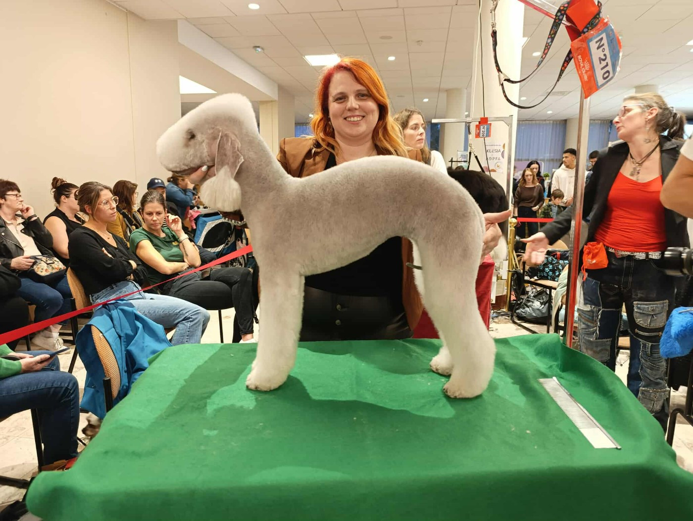 Someone like you Un Après-midi De Chien