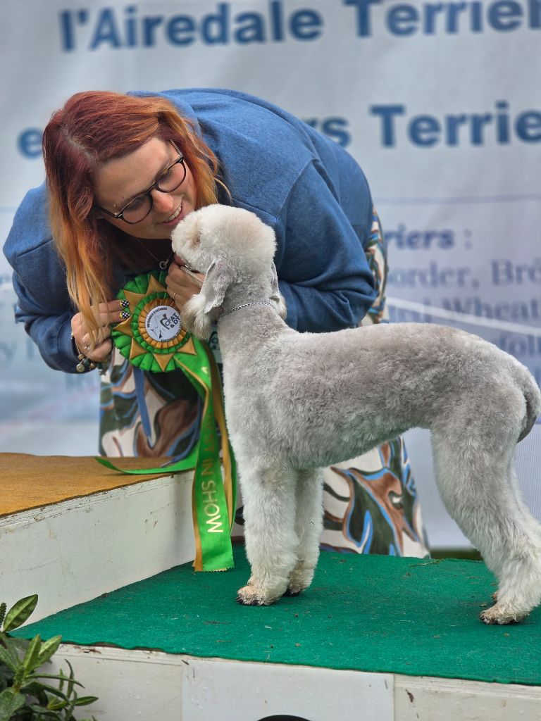Tales Of Suspens Venom-of-basilisk