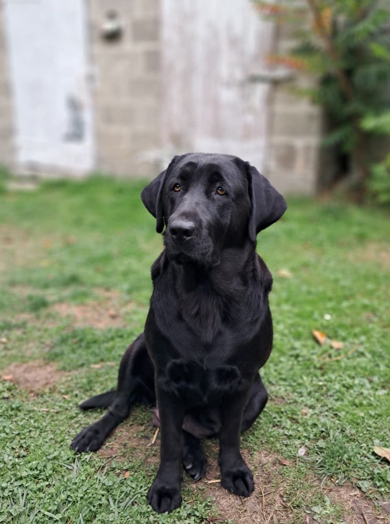 Tia Du Petit Domaine De La Passee