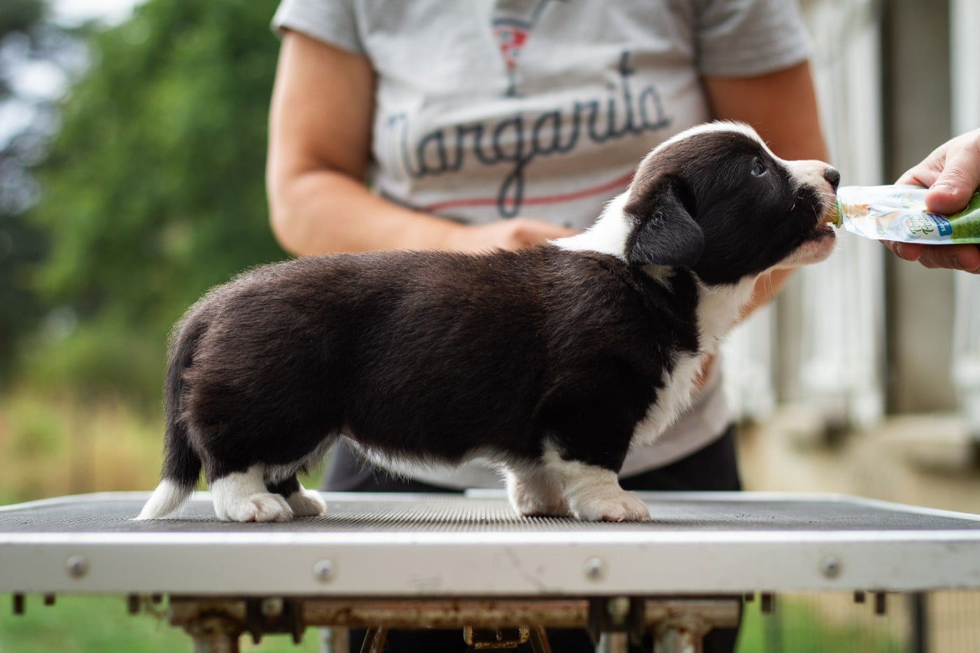 Amba De La Légende De Jupiter