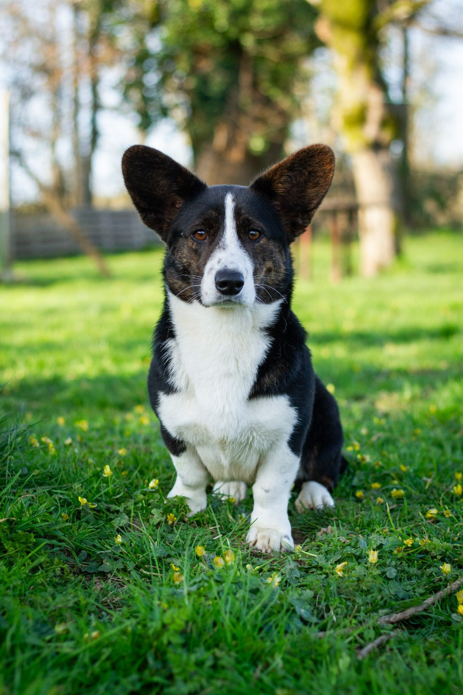 Venus dit "Vaïna" De La Légende D'Indiana