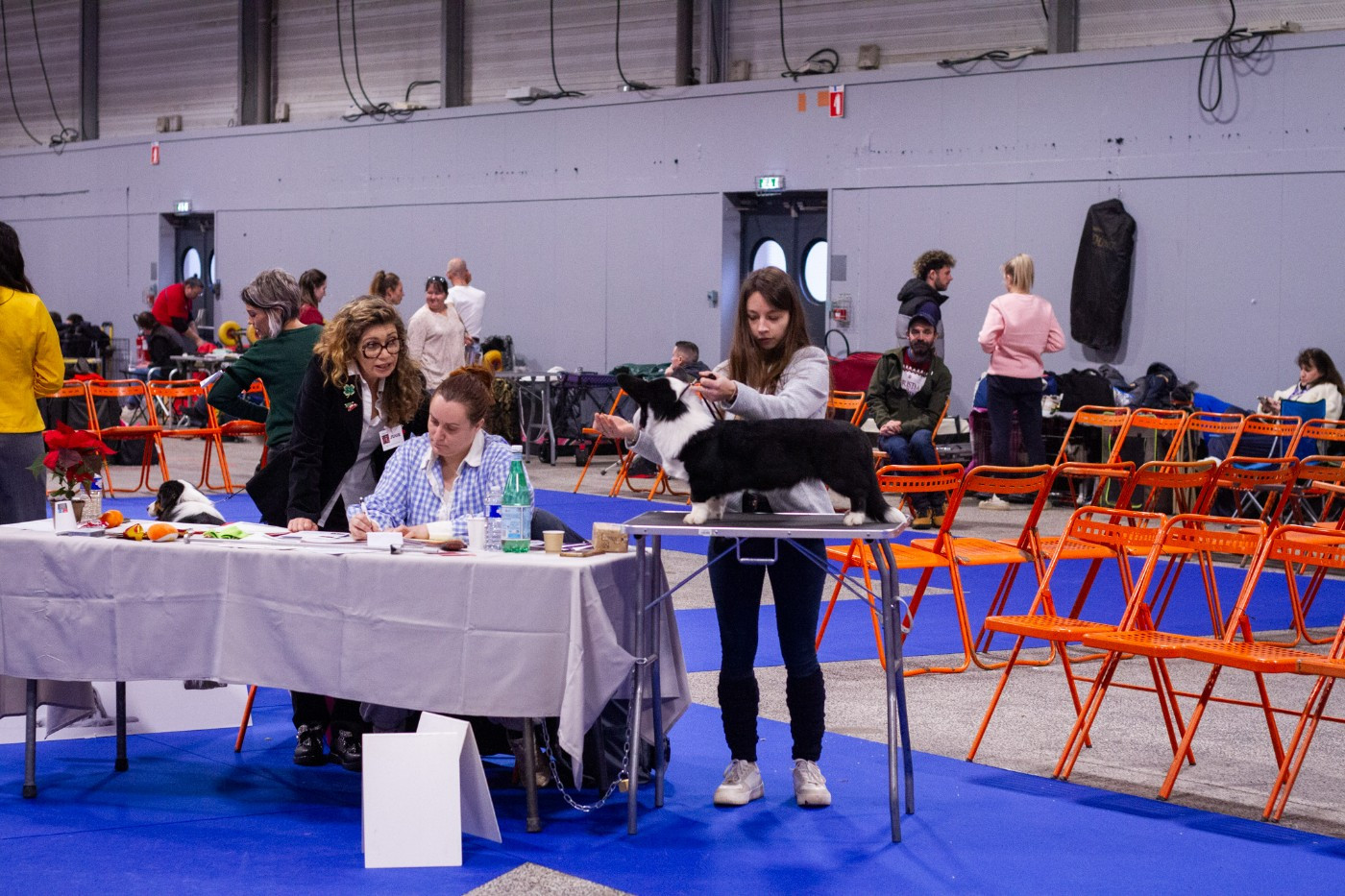 Amba De La Légende De Jupiter - Meilleur baby