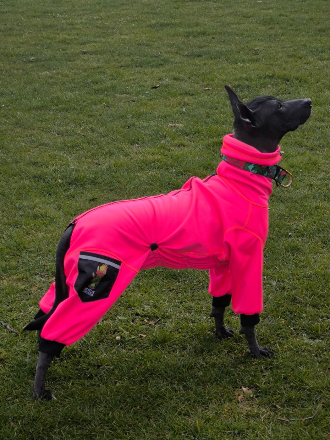 Publication : (Sans Affixe) Auteur : Xolowallonie.be